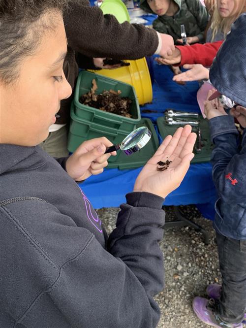 Learning about composting.